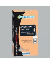 Ergysport Effort - Goût pêche - stick