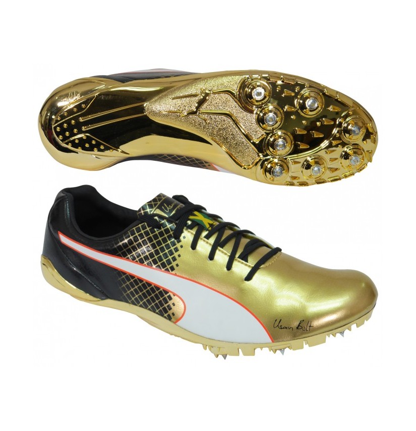 puma evo gold